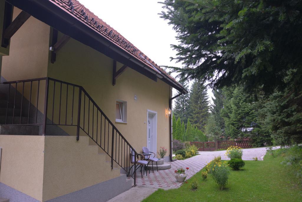 Dobrila Apartments Zlatibor Exterior foto